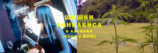 метадон Дмитриев