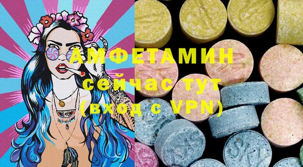 сатива Гусь-Хрустальный