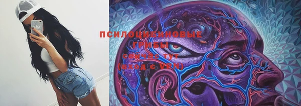 метадон Дмитриев